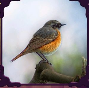 Meet your Posher, Breanna